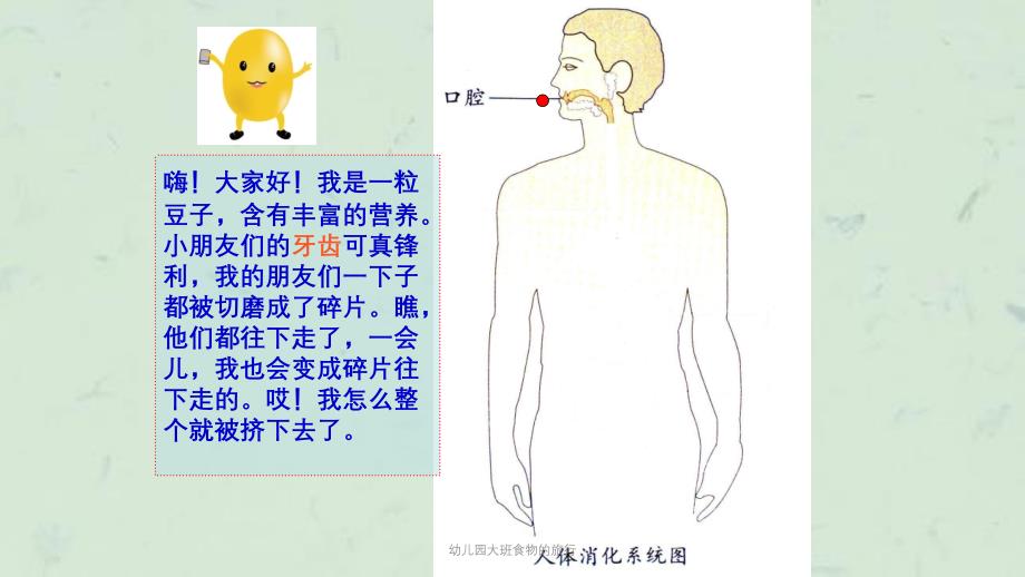 幼儿园大班食物的旅行课件_第4页