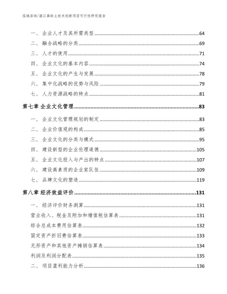 湛江高岭土技术创新项目可行性研究报告_第5页