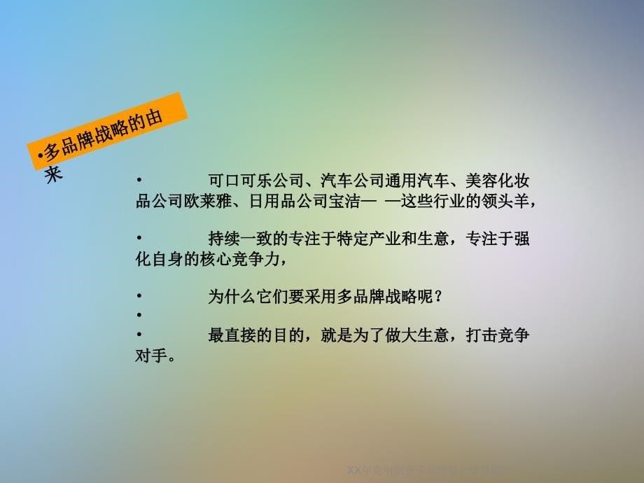 XX年克明面业子品牌整合规划报告_第5页