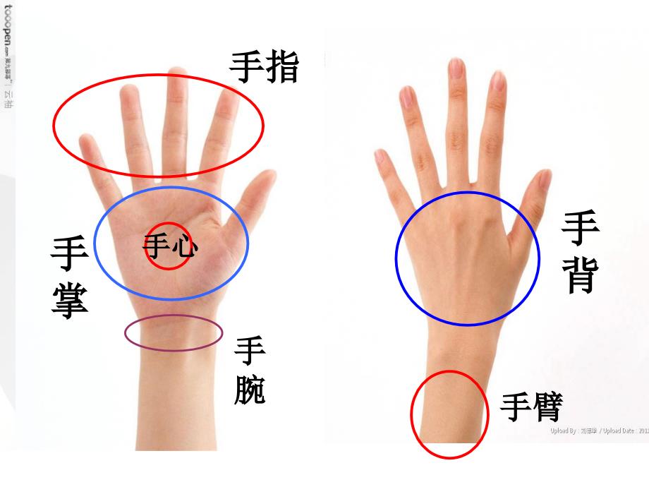 3口耳目第一课时_第3页