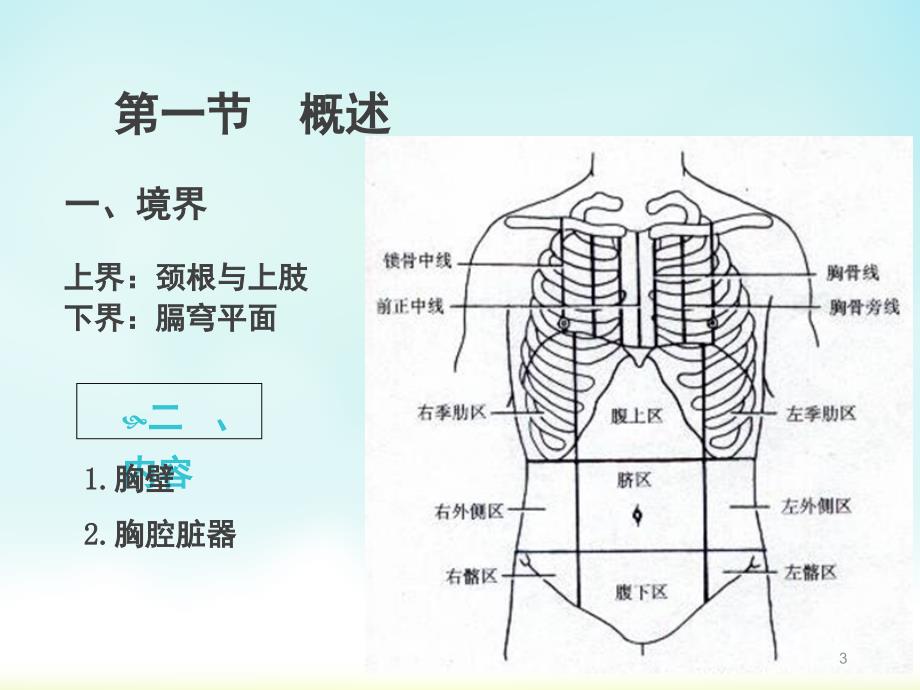 胸部解剖概述1PPT课件_第3页