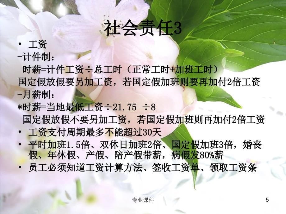 验厂培训COC讲座教学_第5页