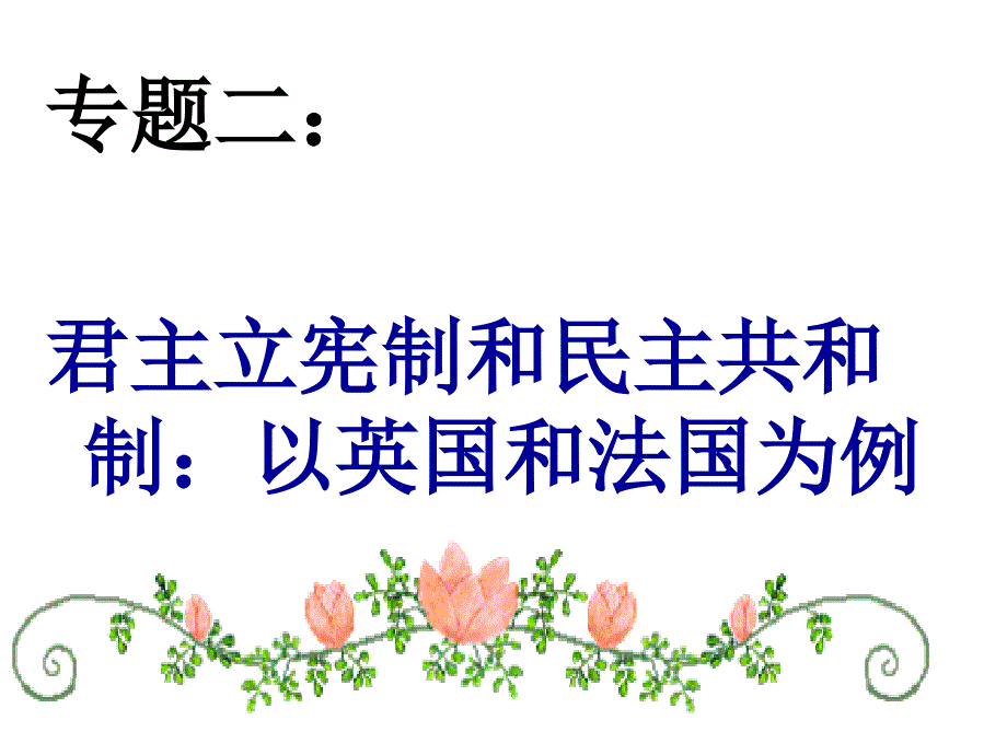 最新政治选修三专题二资料ppt课件_第2页