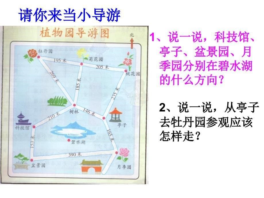 美丽的植物园_第5页