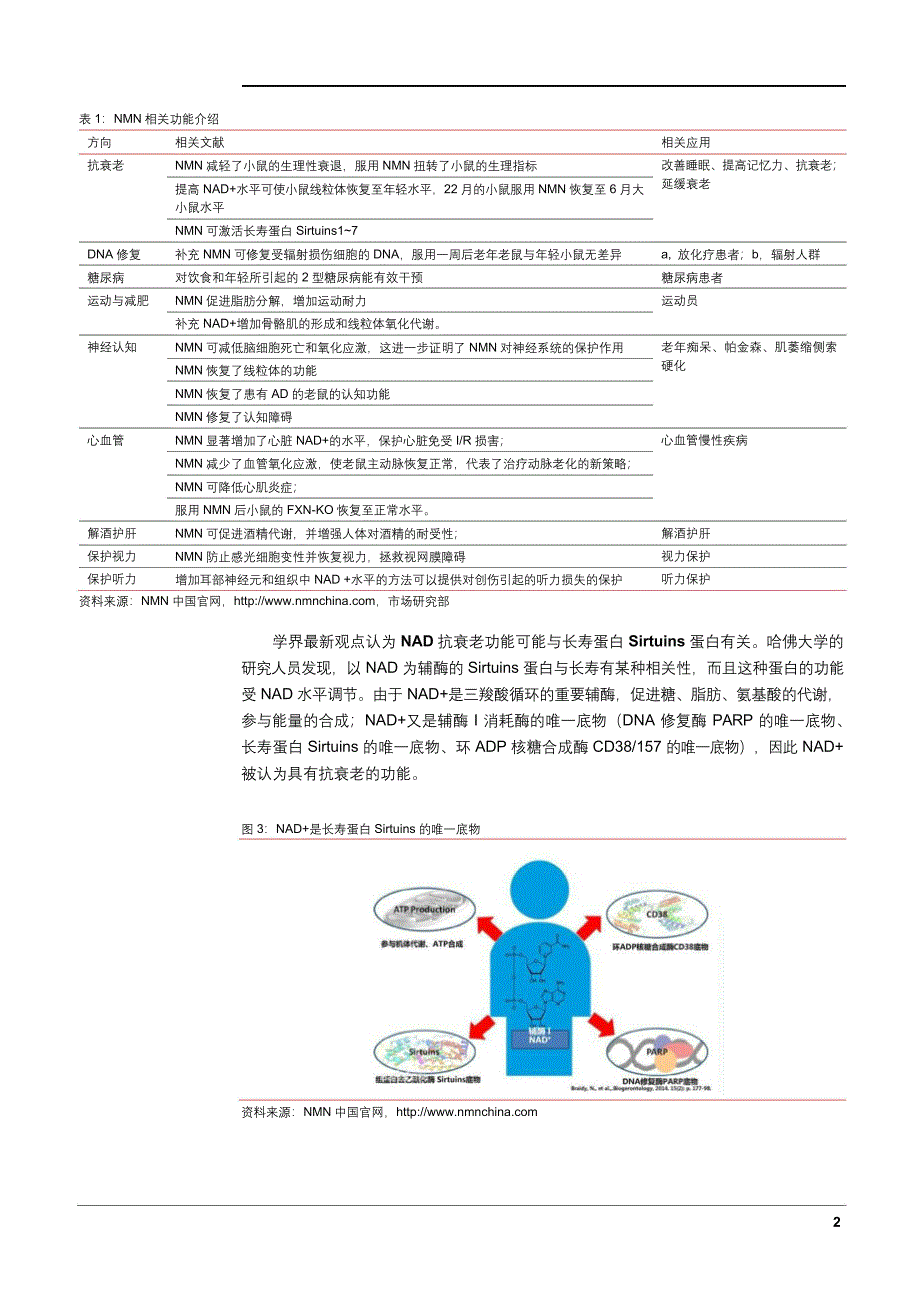 保健品NMN市场分析报告_第3页