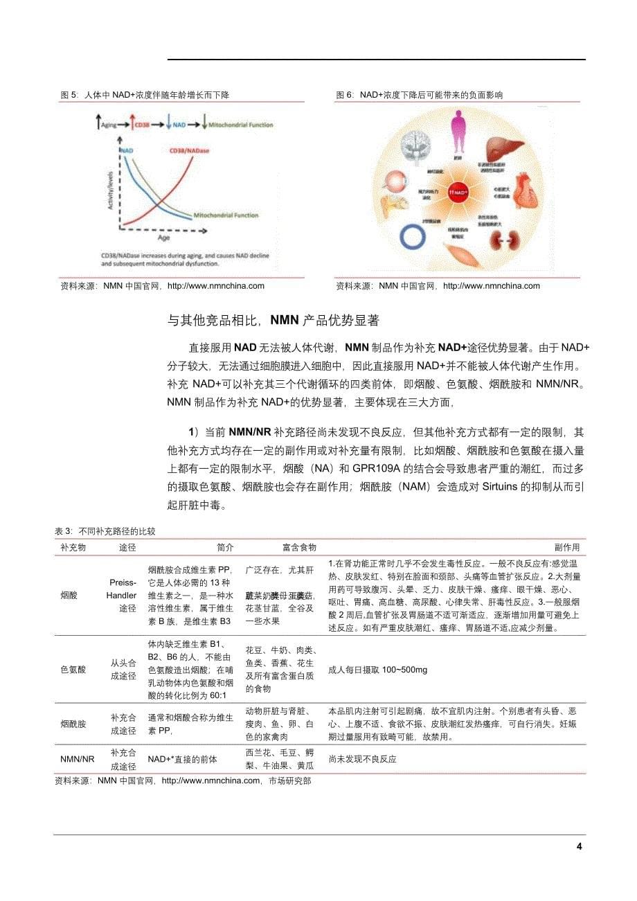 保健品NMN市场分析报告_第5页