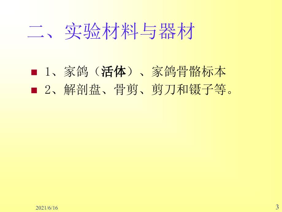 鸟类解剖实验_第3页