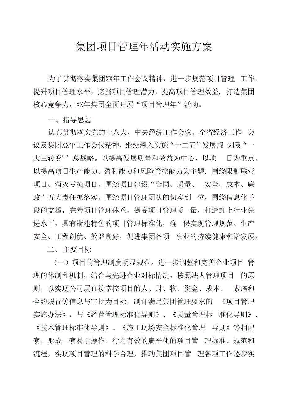 集团项目管理年活动实施方案_第1页