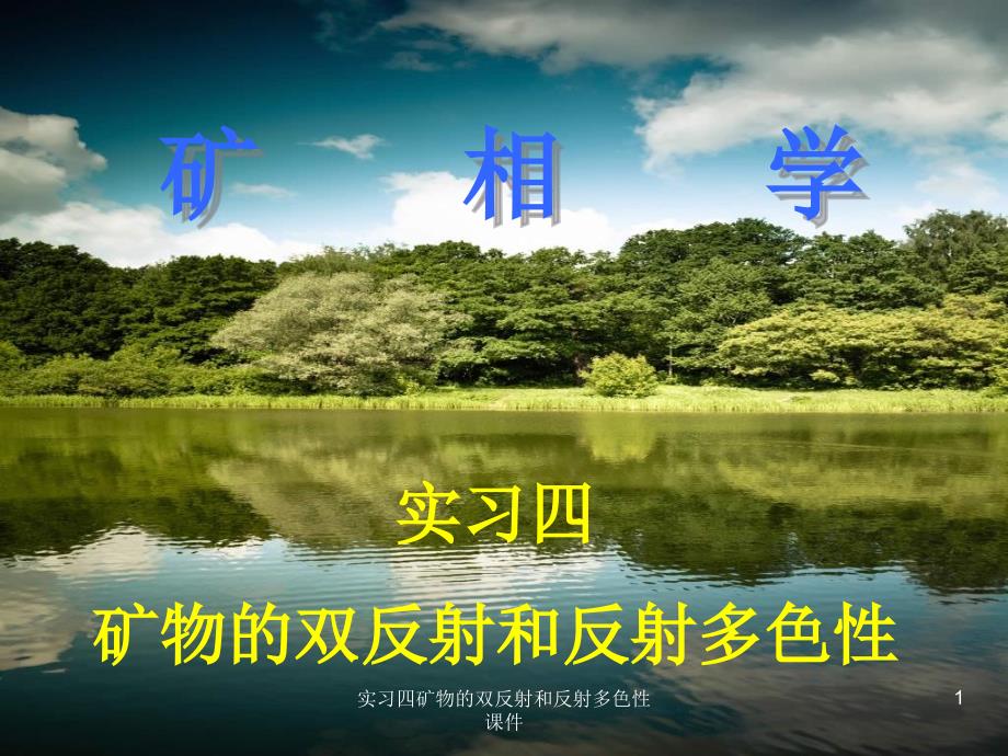 实习四矿物的双反射和反射多色性课件_第1页