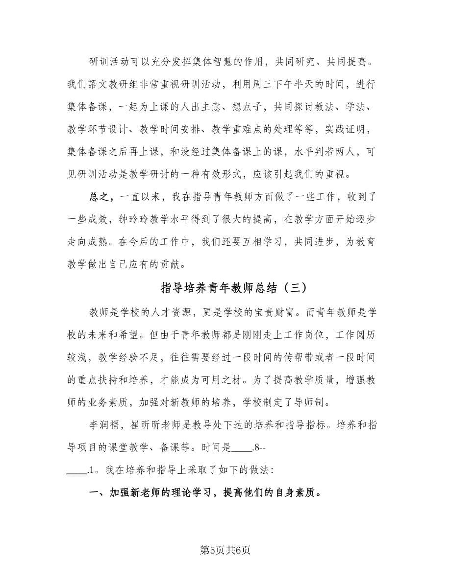 指导培养青年教师总结（3篇）.doc_第5页