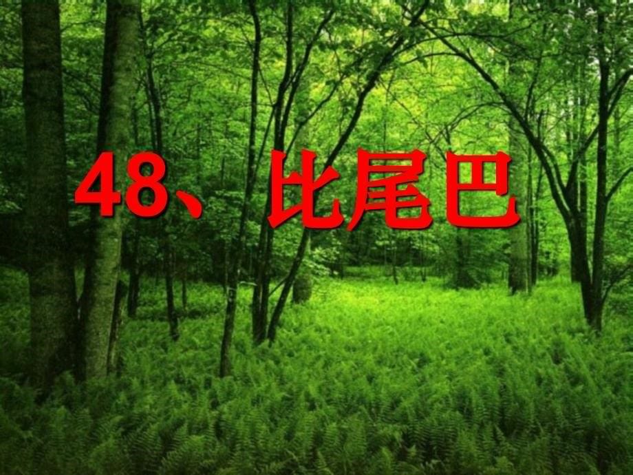 我来说一说大森林里有和参加比bǐ赛_第5页