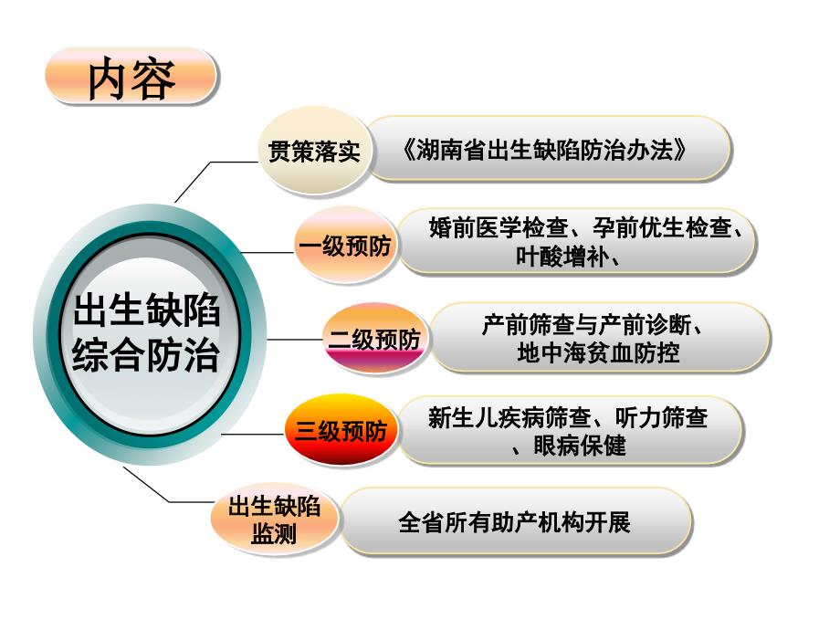 出生缺陷王华课件_第2页