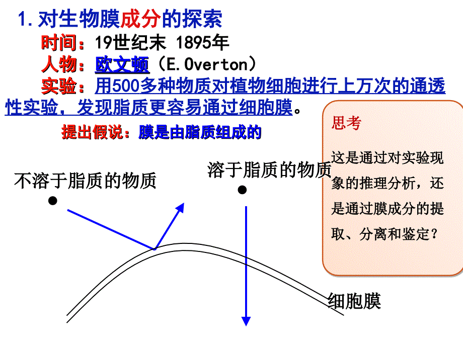 必修一--生物膜的流动镶嵌模型_第2页