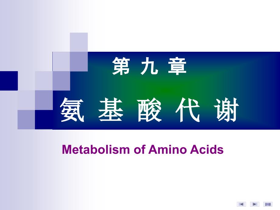 生物化学与分子生物学：9-氨基酸代谢_第1页