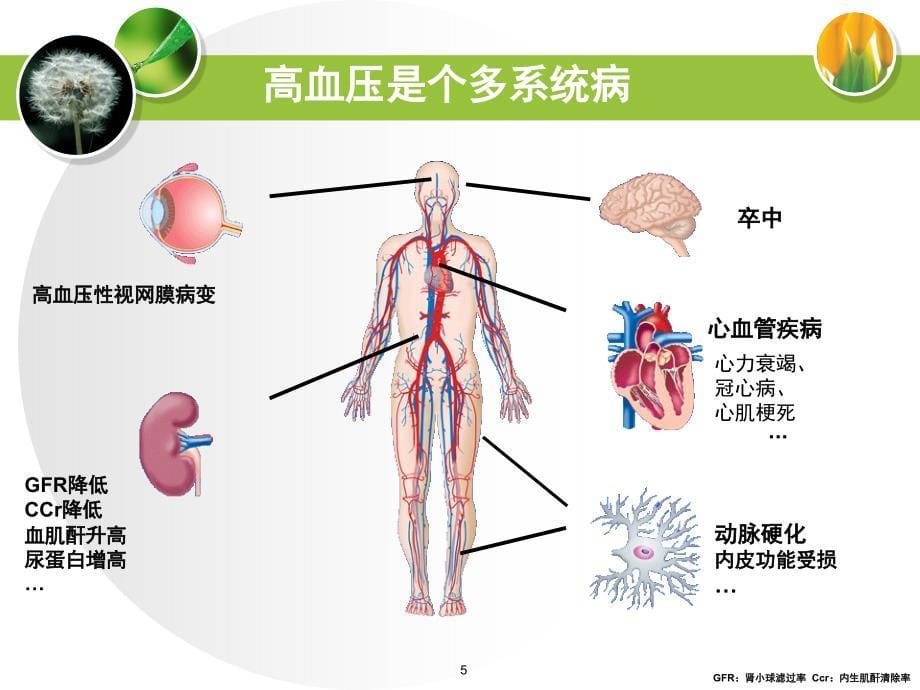 透析患者高血压治疗PPT课件_第5页