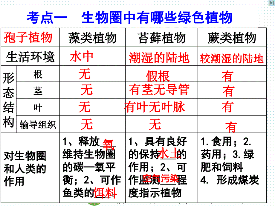 专题复习生物圈中的绿色植物ppt课件_第3页