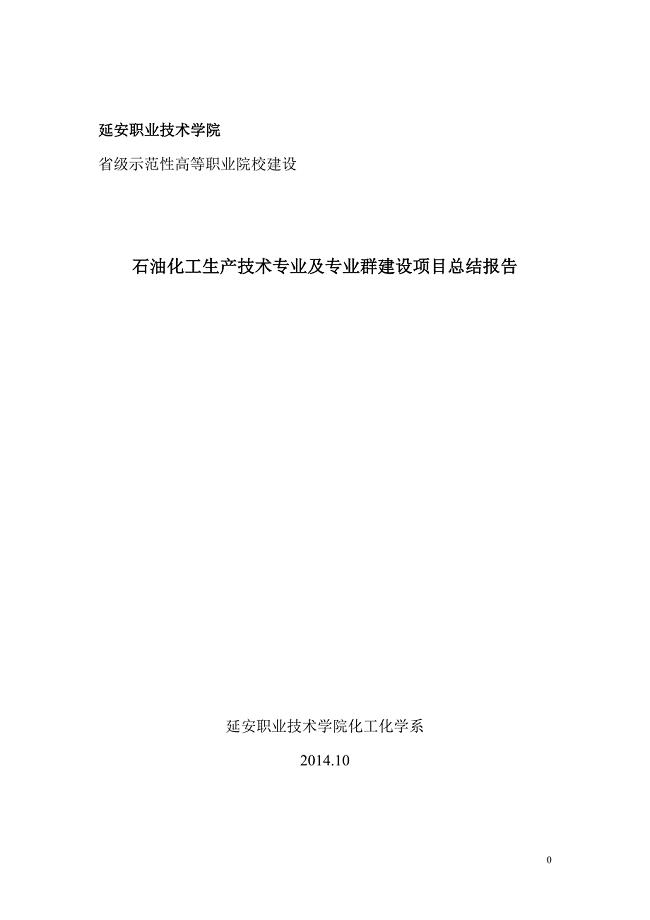 石油化工生产技术专业及专业群建设项目总结报告.docx
