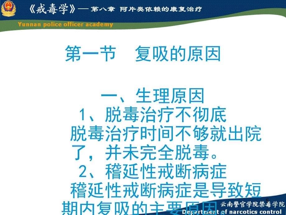 康复治疗是戒毒治疗的三个阶段脱毒mdash康复mdash回归社会中_第5页