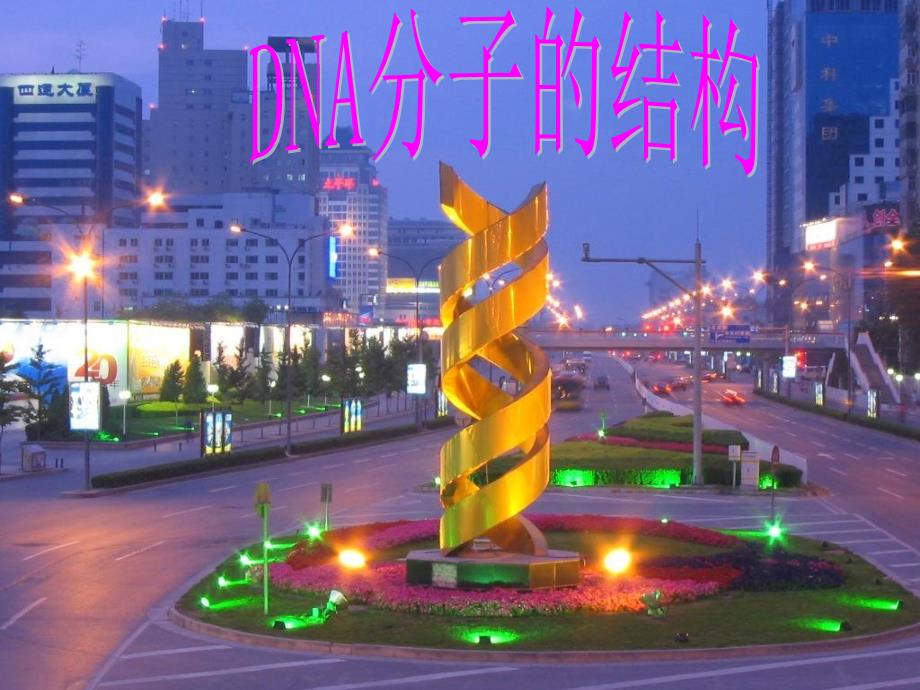 DNA分子的结构_第2页