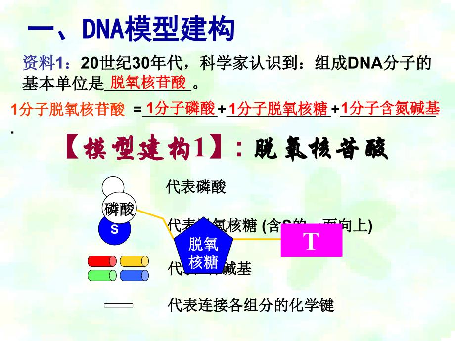 DNA分子的结构_第4页