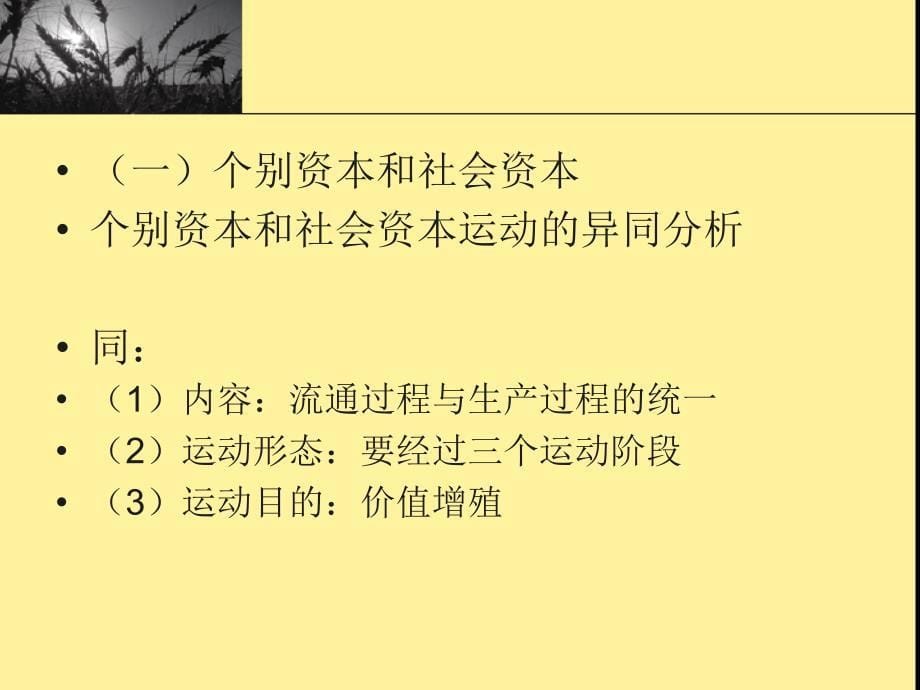 马克思主义哲学原理课件：剩余价值论之四第二讲 剩余价值的实现_第5页