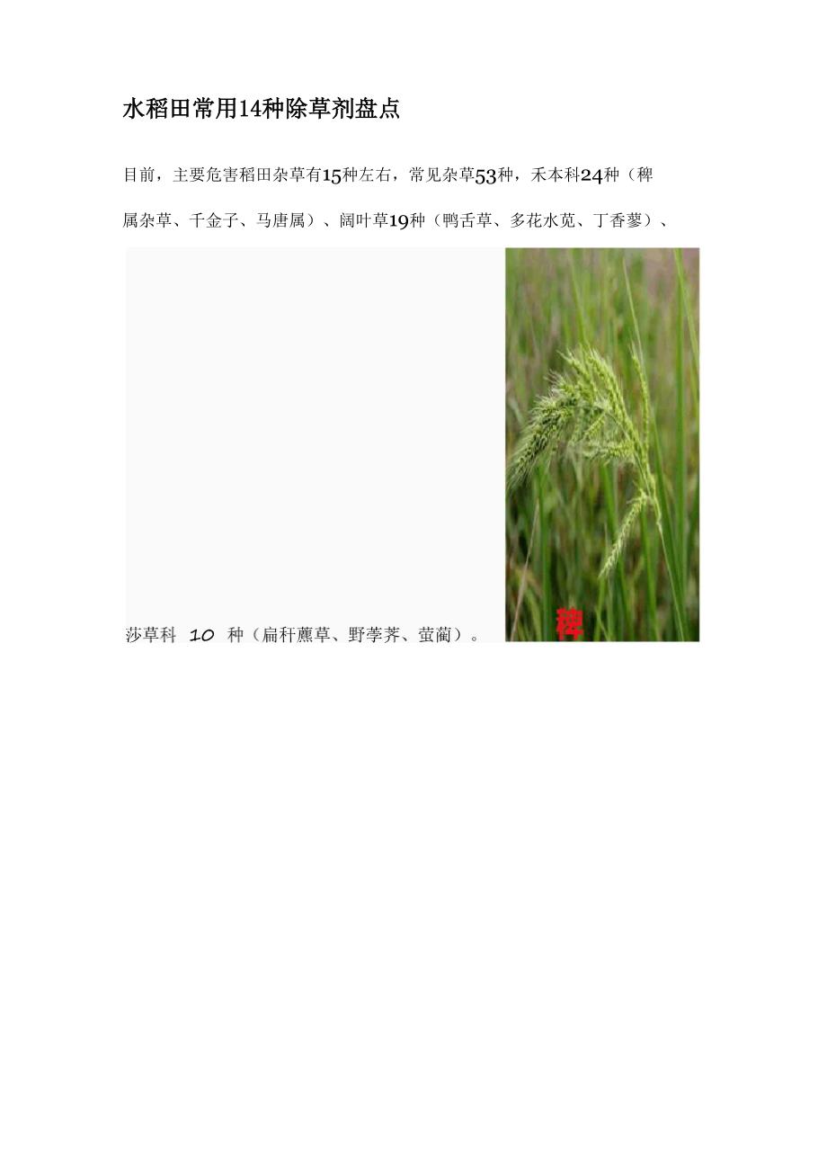 水稻田常用14种除草剂盘点_第1页