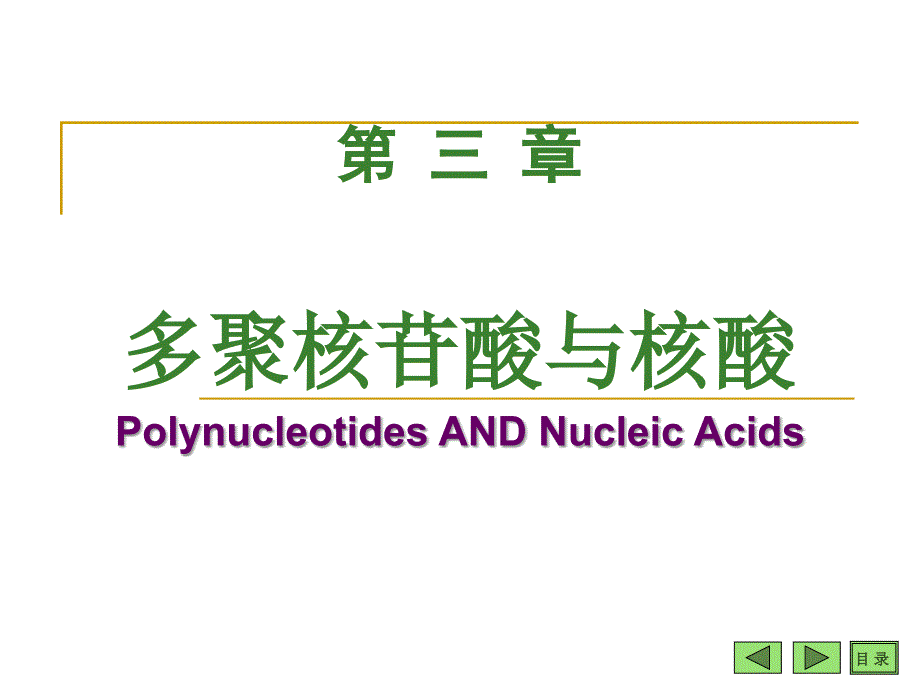 04第三章多聚核苷酸与核酸_第1页