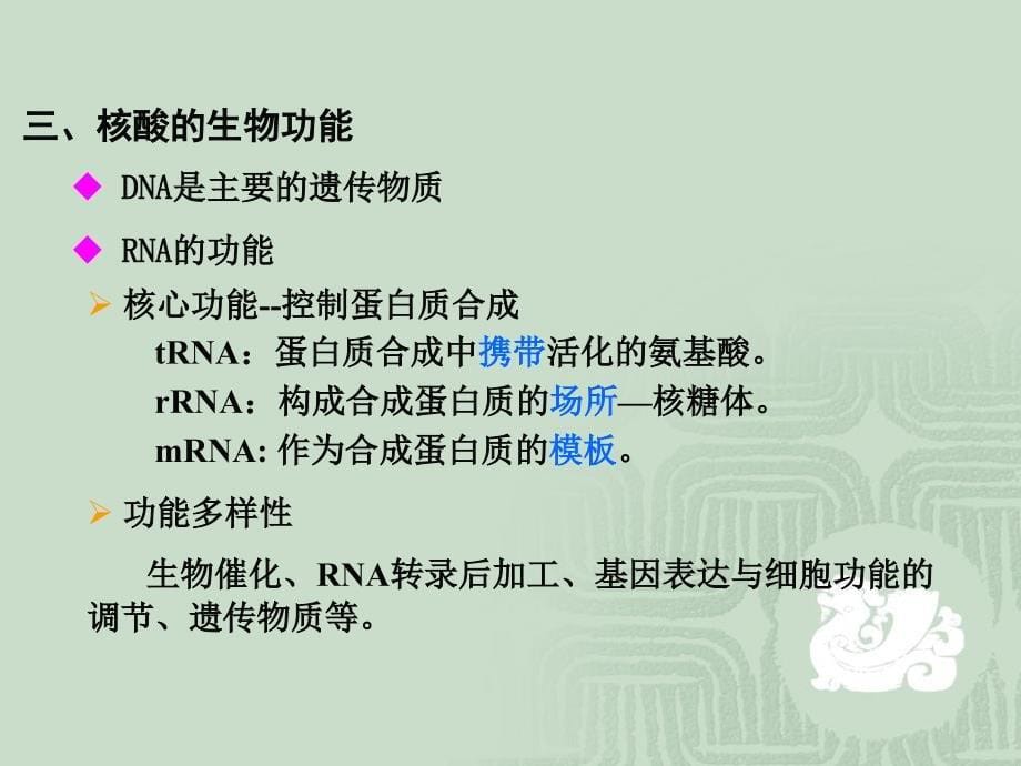 11核苷酸发现种类分布与组成_第5页