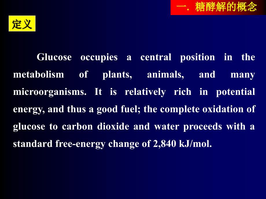 南京农业大学生物化学课件4课件_第3页