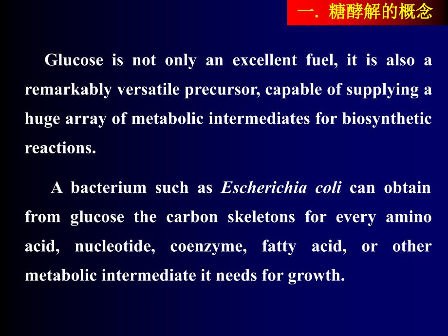 南京农业大学生物化学课件4课件_第4页