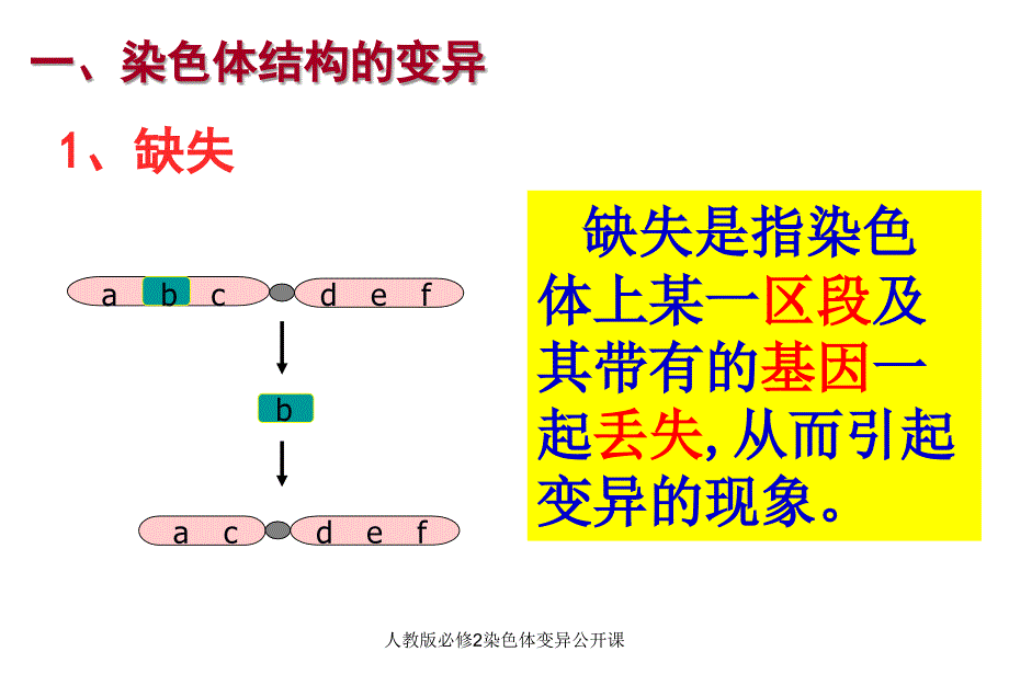 人教版必修2染色体变异公开课课件_第3页