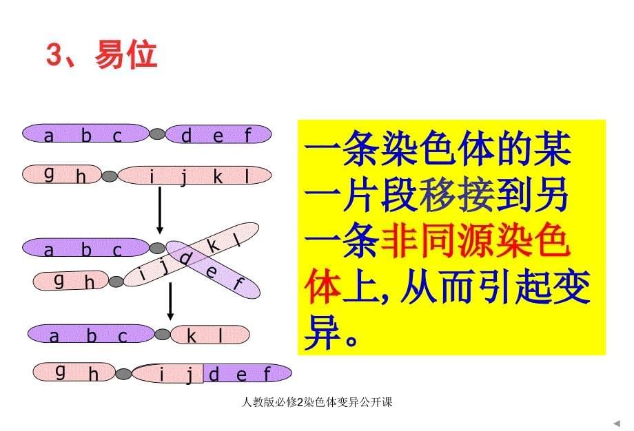 人教版必修2染色体变异公开课课件_第5页