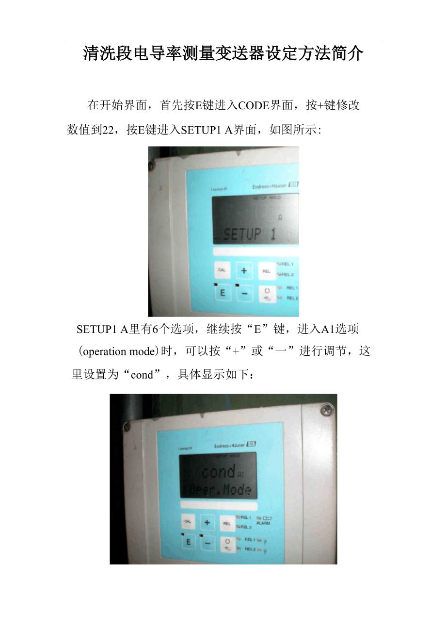 恩德斯豪斯Endress+Hauser 电导率测量变送器 CLM253_第1页