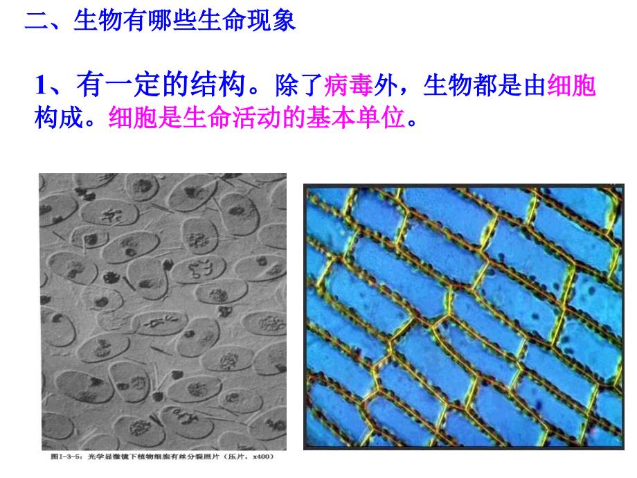 第一节我们周围的生物 (2)_第2页