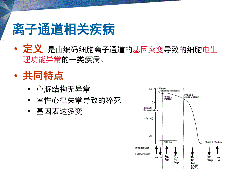 医学交流课件：ICD在离子通道疾病的应用_第2页