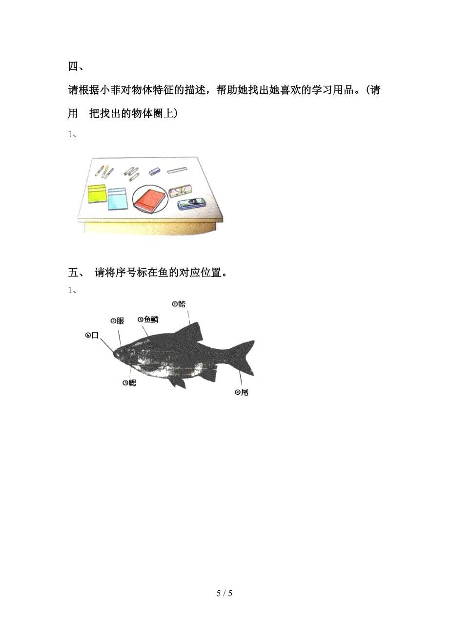 2022年教科版一年级科学上册期中试卷(全面).doc_第5页