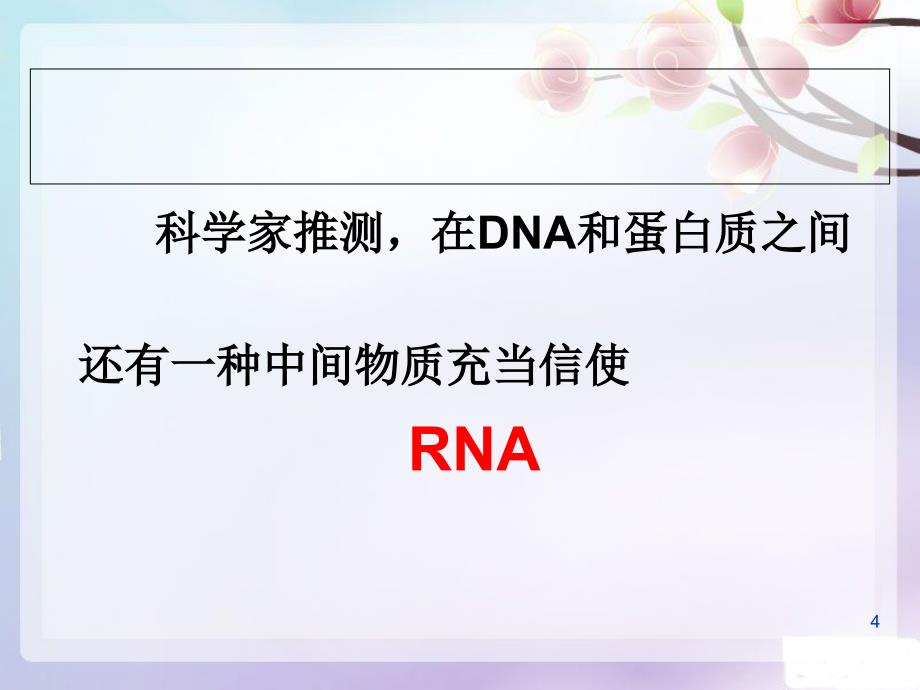 基因指导蛋白质的合成完成ppt课件_第4页