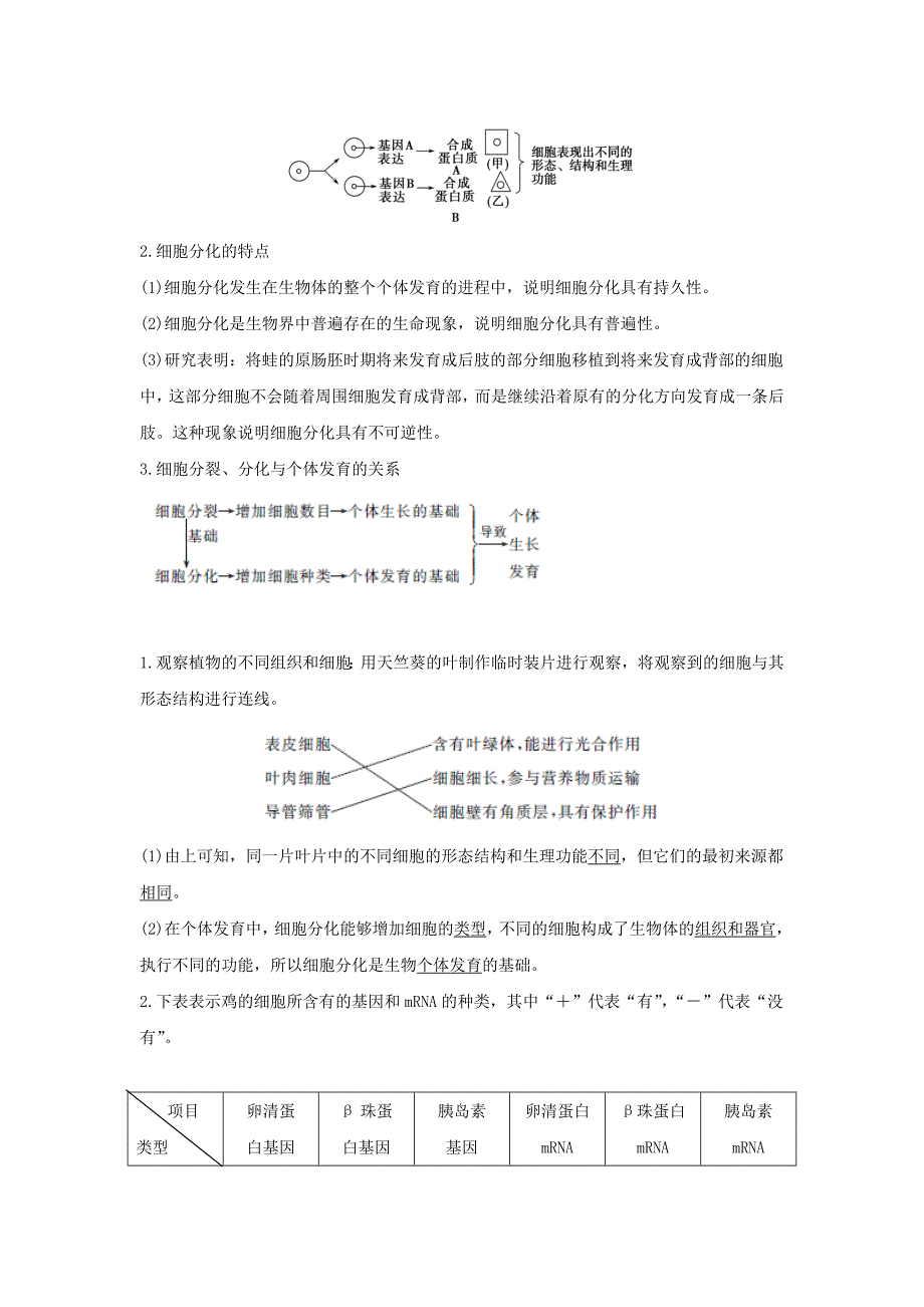 2022年高中生物 第五章 细胞增殖、分化、衰老和死亡 5.2.1 细胞分化和全能性学案 新人教版必修1_第2页