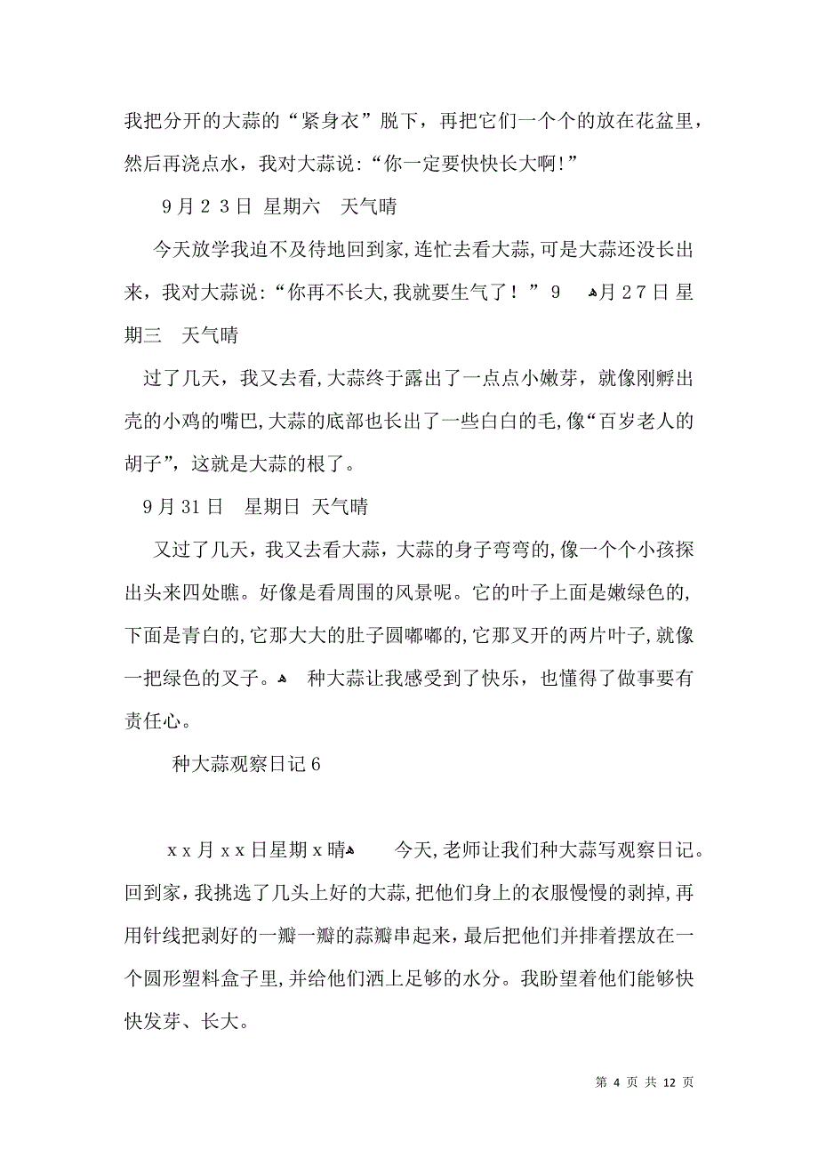 种大蒜观察日记_第4页