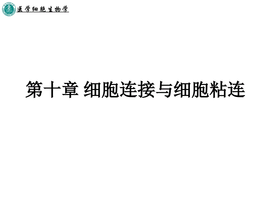 第十章细胞连接与细胞粘连_第1页