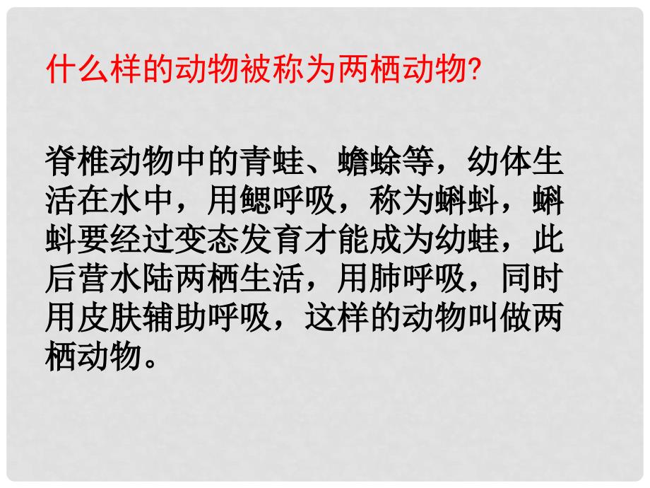 安徽省蚌埠市固镇县第三中学八年级生物下册 第七单元 第一章 第三节 两栖动物的生殖和发育课件（新版）新人教版_第2页