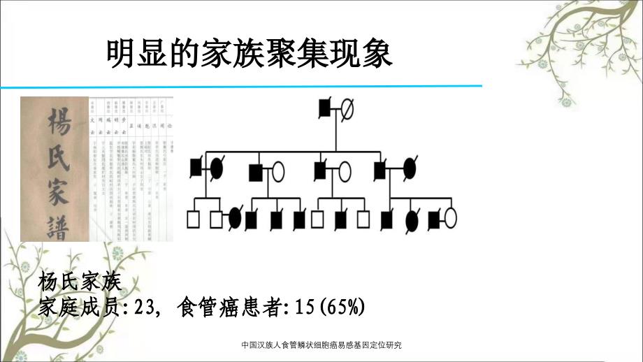 中国汉族人食管鳞状细胞癌易感基因定位研究_第3页