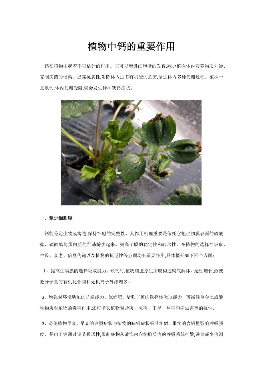 植物中钙重要作用_第1页