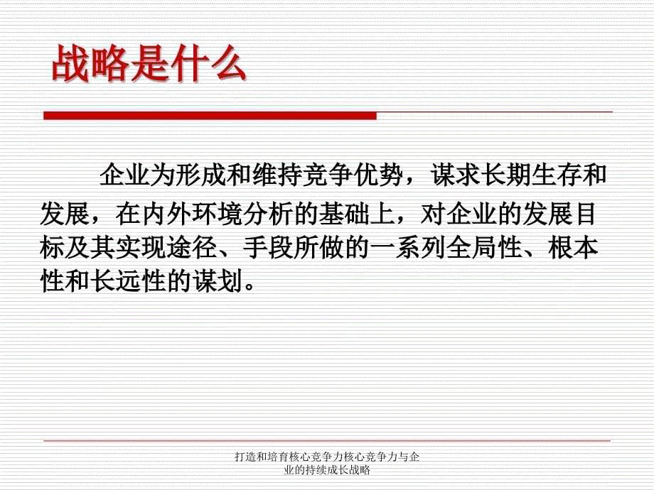 打造和培育核心竞争力核心竞争力与企业的持续成长战略课件_第5页