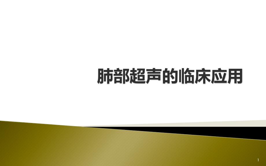 肺部超声的临床应用PPT演示课件_第1页