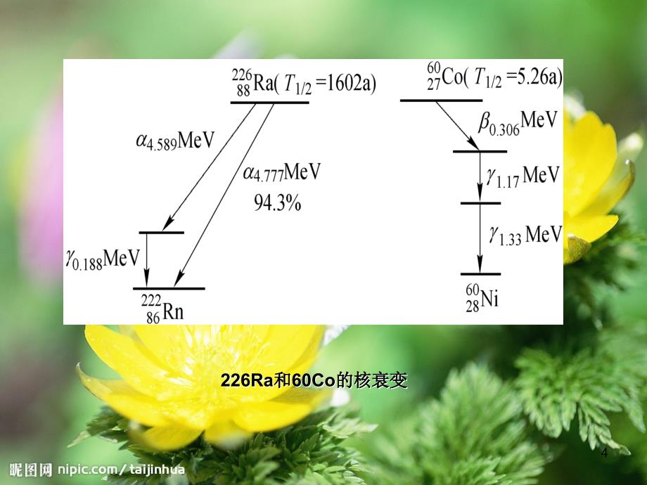 作业环境放射性ppt课件_第4页