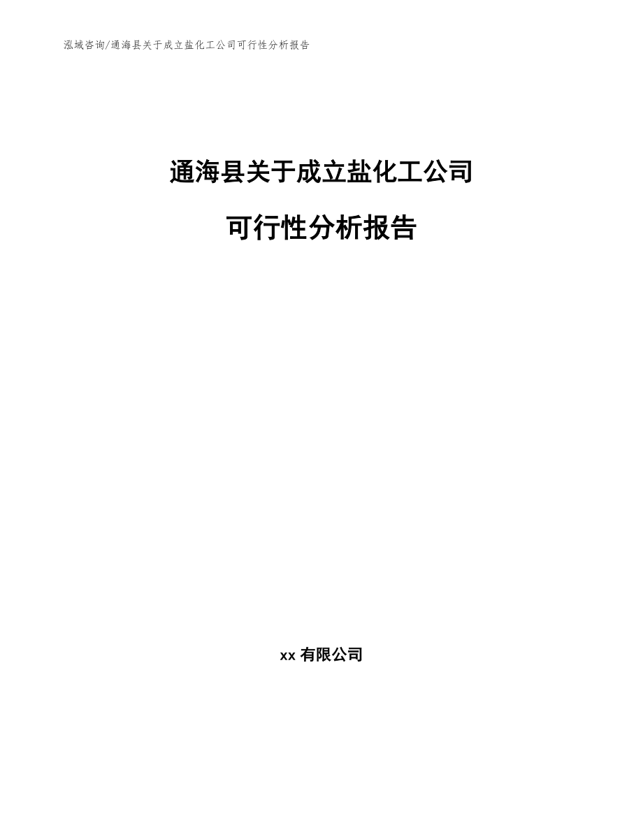 通海县关于成立盐化工公司可行性分析报告（参考模板）_第1页