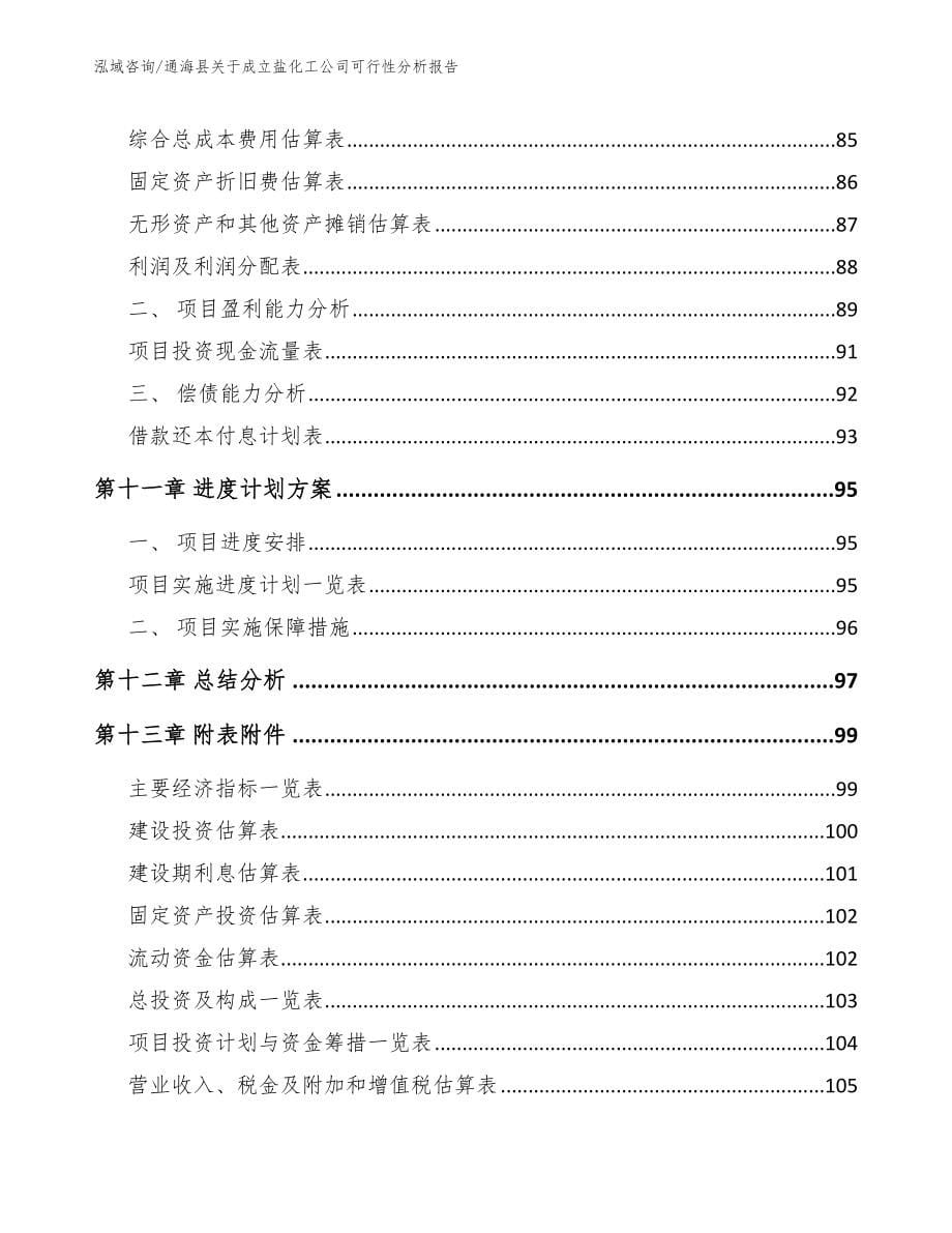 通海县关于成立盐化工公司可行性分析报告（参考模板）_第5页