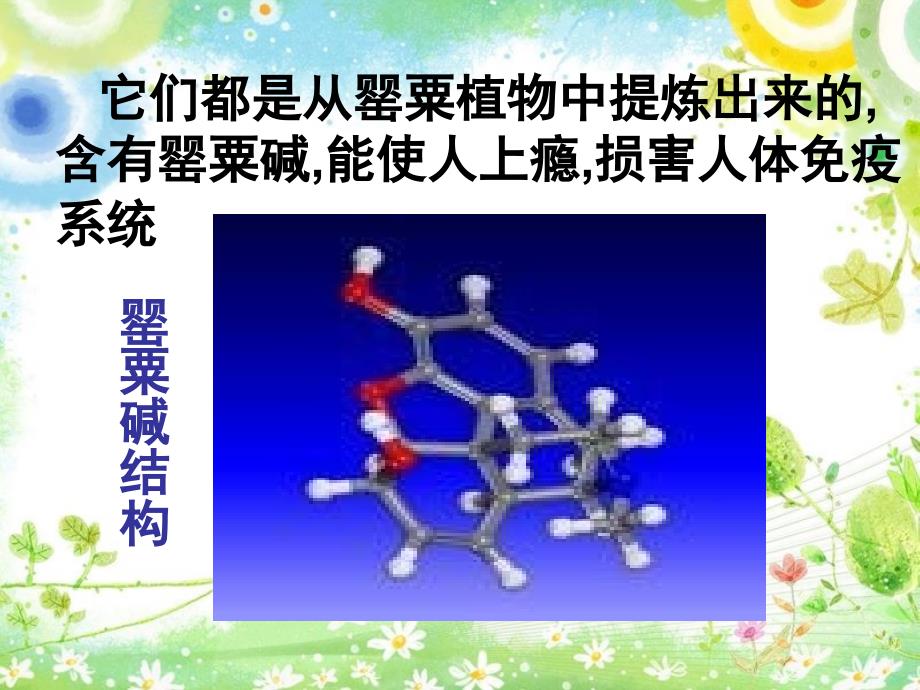 禁毒教育主题班会PPT通用课件_第4页