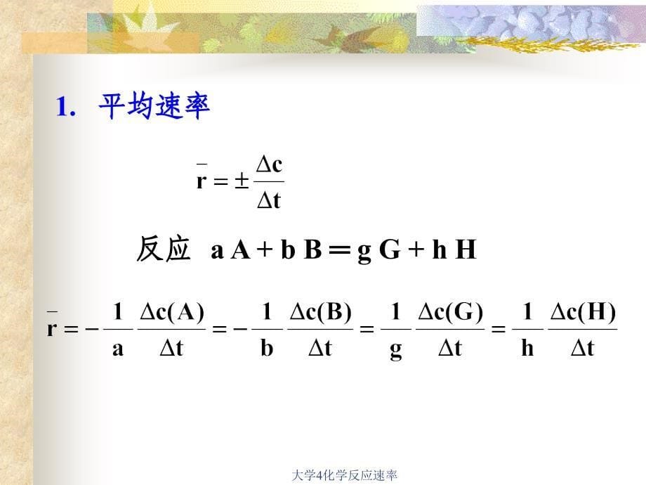 大学4化学反应速率课件_第5页